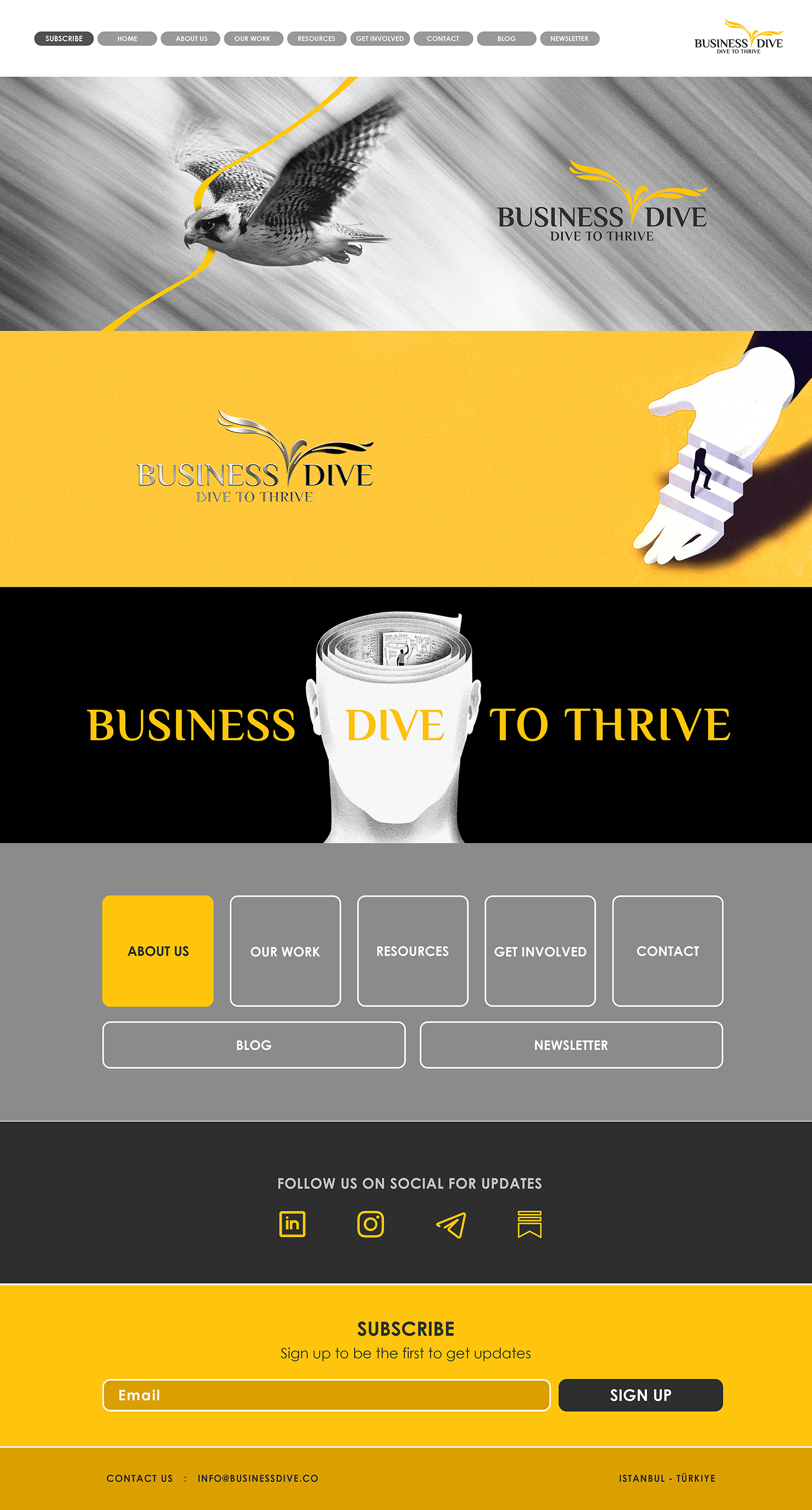 Business Dive Co.